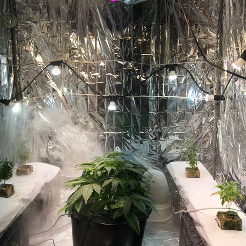 Pablo Escobar growlog photo: Поднято освещение 