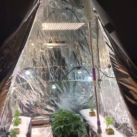 Pablo Escobar growlog photo: Ещё выше свет под обдув драйвера вентилятором 