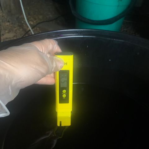 Pablo Escobar growlog timeline photo