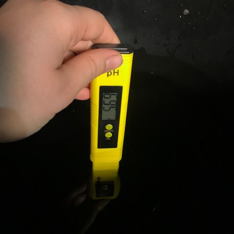 Pablo Escobar growlog timeline photo