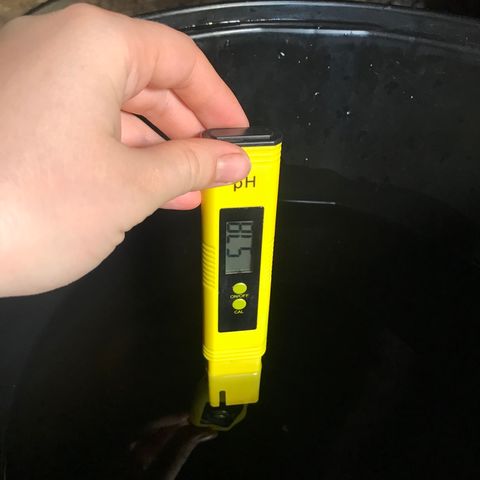 Pablo Escobar growlog timeline photo