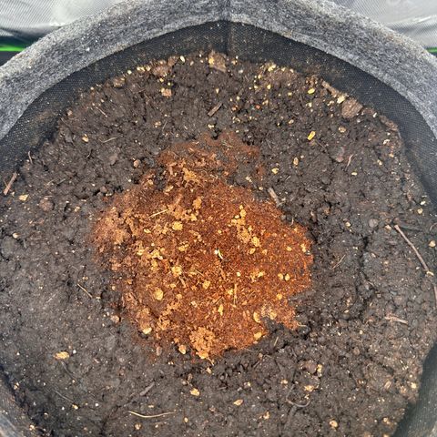HulkBerry Automatic growlog photo
