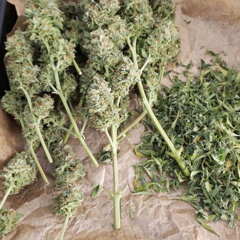 Wedding Cake Auto growlog timeline photo