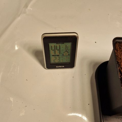 Haze Berry growlog timeline photo