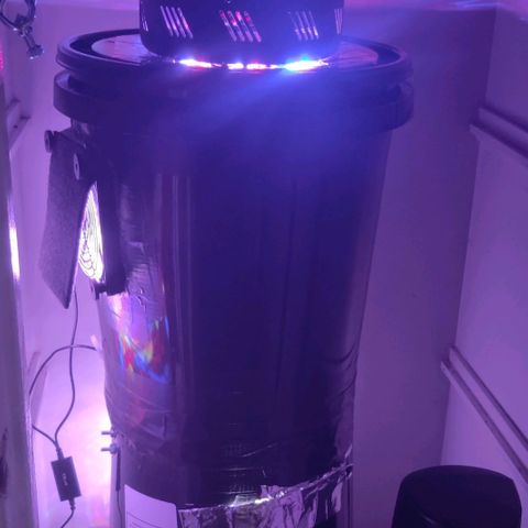 GROOT growlog photo: Had to move inside spacebucket