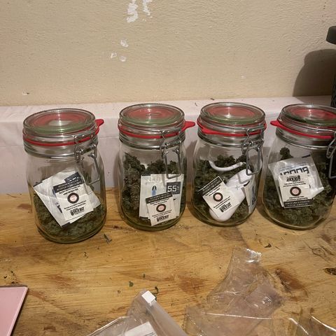 Sweet ZZ growlog timeline photo