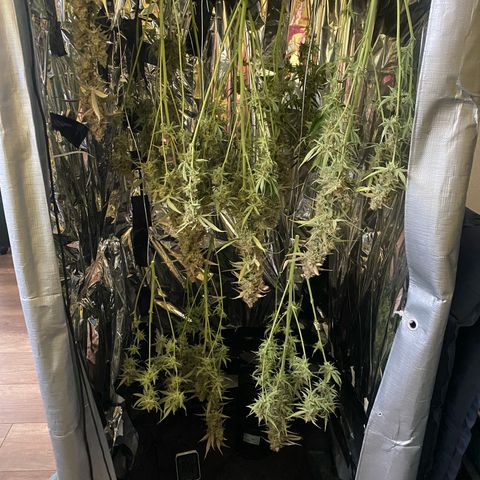 Epsilon F1 growlog timeline photo