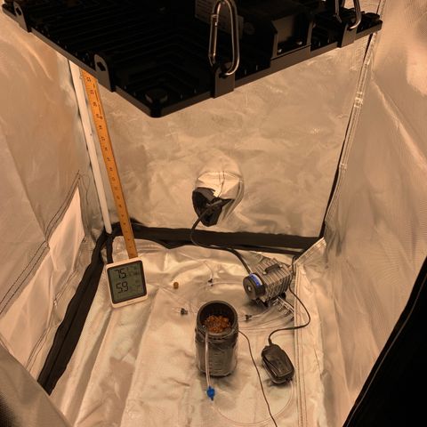 2nd Gen growlog photo: Room setup