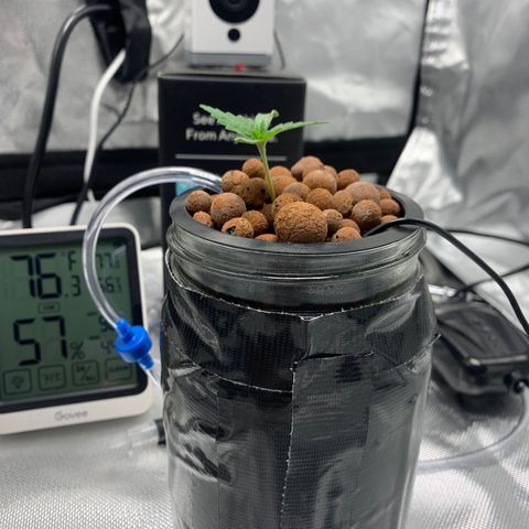 2nd Gen growlog timeline photo