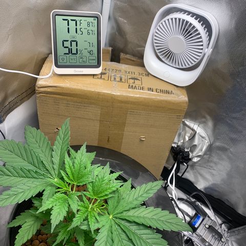 2nd Gen growlog timeline photo