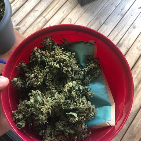 Jacky growlog timeline photo