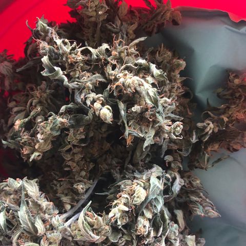 Jacky growlog timeline photo
