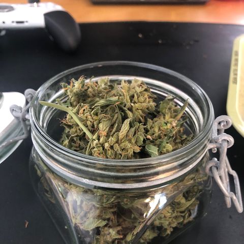 Jacky growlog timeline photo