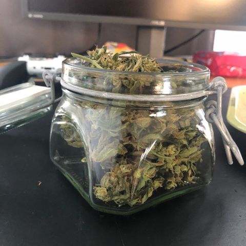 Jacky growlog timeline photo