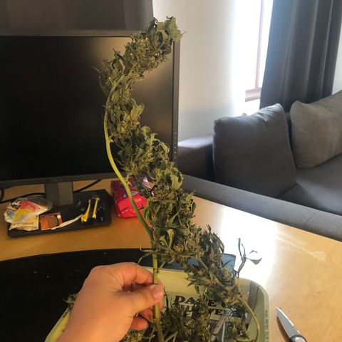 Jacky growlog timeline photo