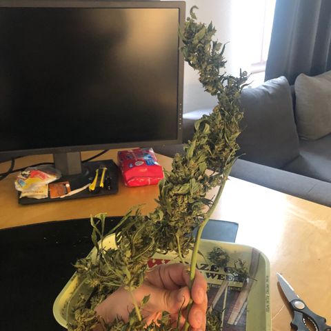 Jacky growlog timeline photo