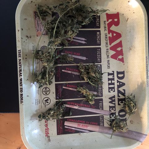 Jacky growlog timeline photo