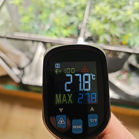 Nicole Kush von Nirwana Seeds growlog photo: Sensor hängend platziert 