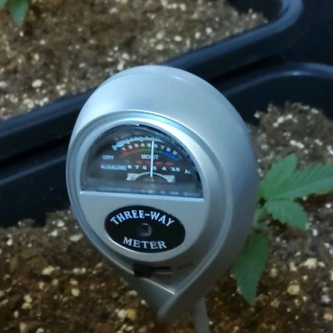 Growerina growlog photo: 11,50 Segna umido, ph terreno intorno ai 7,99 terreno mediamente umido