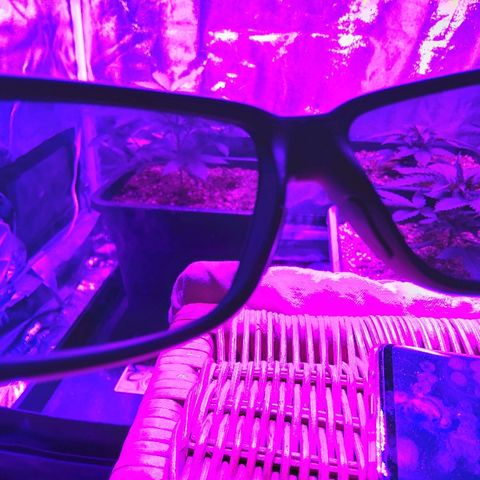 Growerina growlog timeline photo