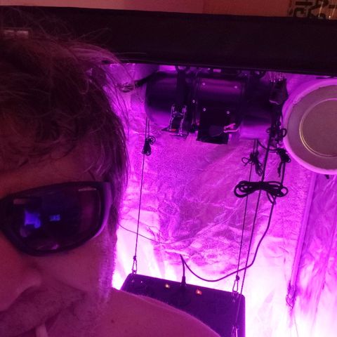 Growerina growlog photo: 21,00 Tutto ok