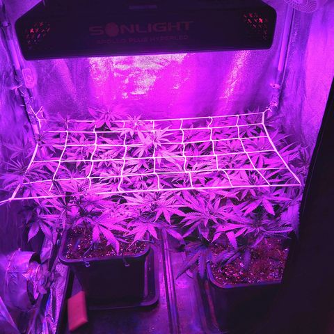 Growerina growlog photo: 22,99 o
