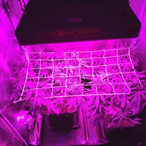 Growerina growlog photo: 21,00 Situazione sotto controllo, rimesse un po' di teste sotto lo scog