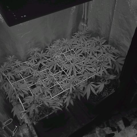Growerina growlog photo: 19,00 Ovest secca, sud quasi secca
