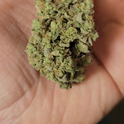 Laughing gas 1 growlog photo: Gotta love laughing gas. Grade lower on the looks but everything else top notch.