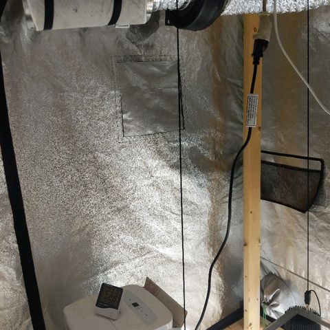 Gelato growlog photo: AC and exhaust fan with carbon filter.