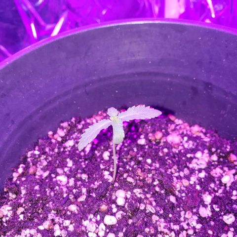 #1 Jane  growlog timeline photo