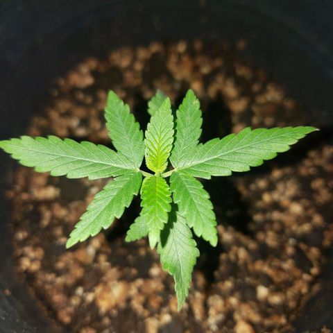 #1 Jane  growlog timeline photo