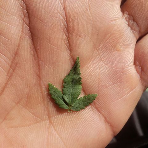 #1 Jane  growlog timeline photo