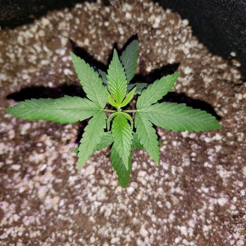 #1 Jane  growlog timeline photo