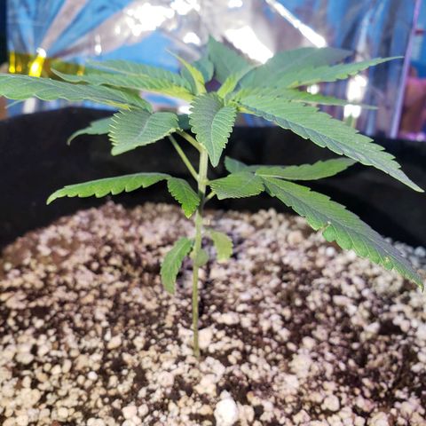 #1 Jane  growlog timeline photo