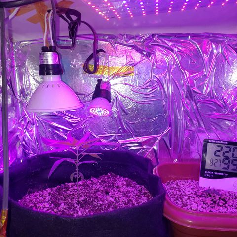 #1 Jane  growlog timeline photo