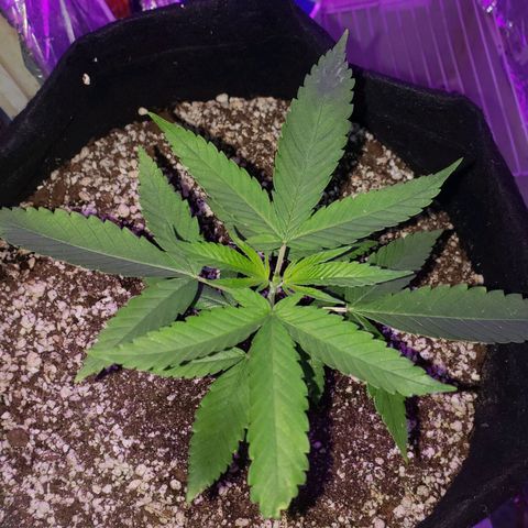 #1 Jane  growlog timeline photo