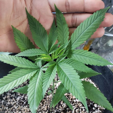 #1 Jane  growlog timeline photo
