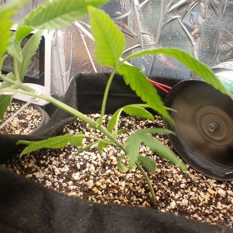 #1 Jane  growlog timeline photo