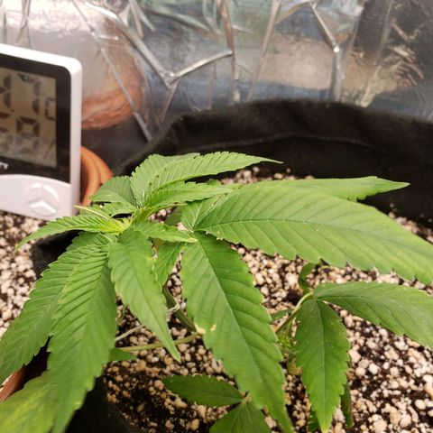 #1 Jane  growlog timeline photo