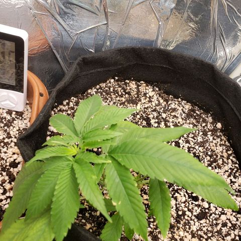 #1 Jane  growlog timeline photo