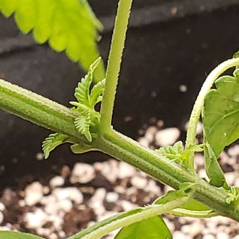 #1 Jane  growlog timeline photo