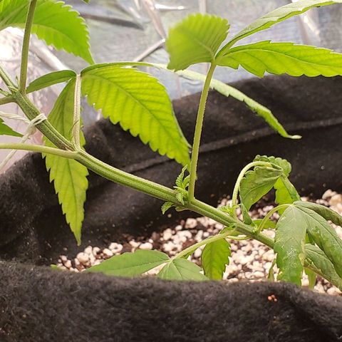 #1 Jane  growlog timeline photo