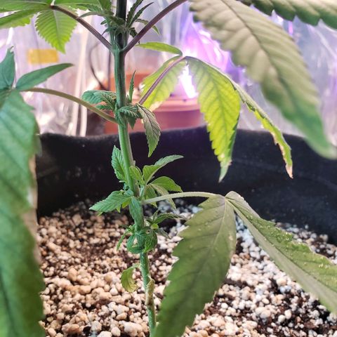 #1 Jane  growlog timeline photo