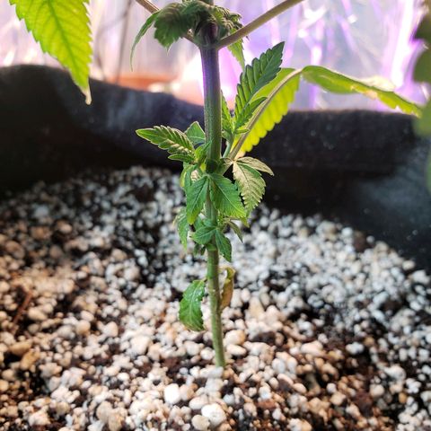 #1 Jane  growlog timeline photo