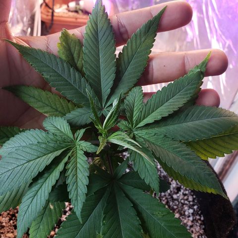 #1 Jane  growlog timeline photo