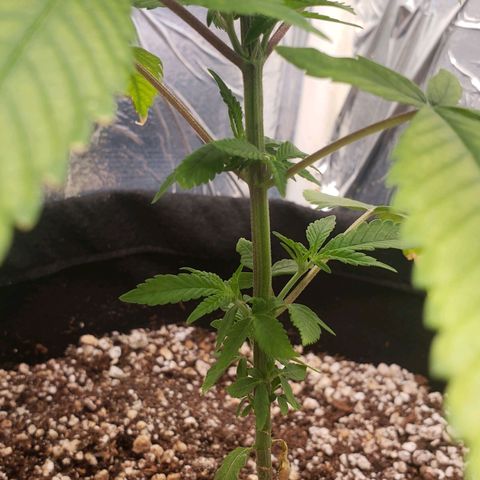 #1 Jane  growlog timeline photo
