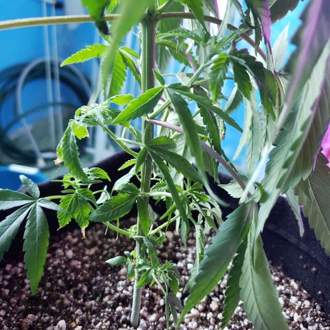 #1 Jane  growlog timeline photo
