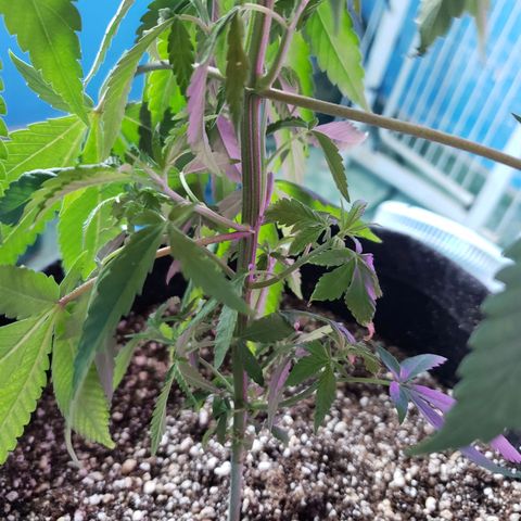 #1 Jane  growlog timeline photo