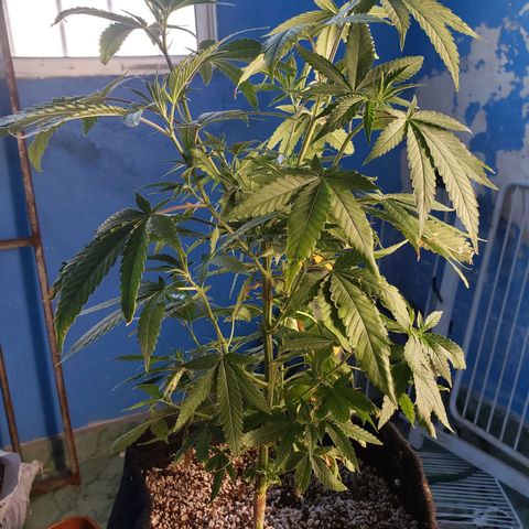 #1 Jane  growlog timeline photo